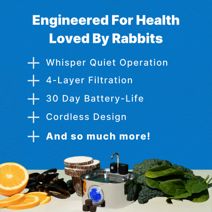 Stop the silent killer that claims 81% of house rabbits before their time.