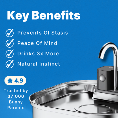 Stop the silent killer that claims 81% of house rabbits before their time.