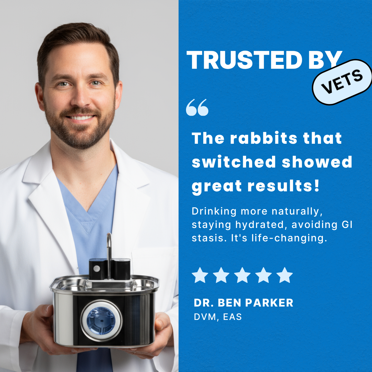 Stop the silent killer that claims 81% of house rabbits before their time.