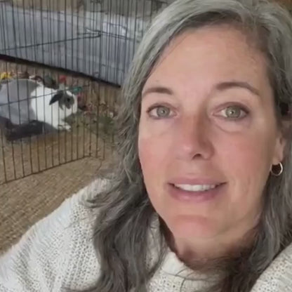 Stop the silent killer that claims 81% of house rabbits before their time.